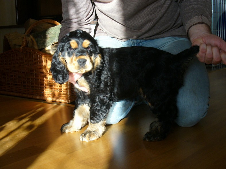 Argo-Karel VANOCE 2009 (3).JPG